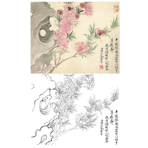 恽寿平没骨花鸟白描底稿-斗方小品册页-SP19 商品图0