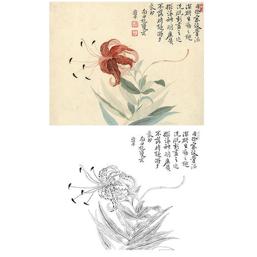 恽寿平没骨花鸟白描底稿-斗方小品册页-SP14 商品图0