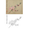 恽寿平没骨花鸟白描底稿-斗方小品册页-SP39 商品缩略图0