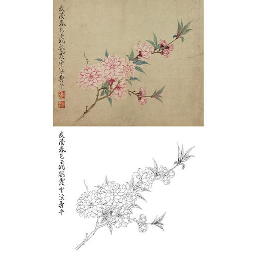 恽寿平没骨花鸟白描底稿-斗方小品册页-SP39 商品图0
