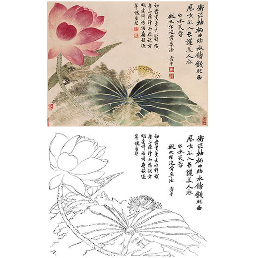 恽寿平没骨花鸟白描底稿-斗方小品册页-SP50 商品图0