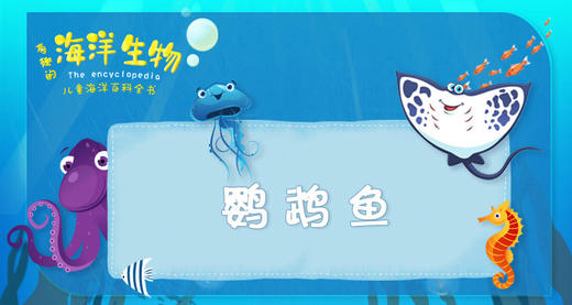 52.鹦鹉鱼 商品图0