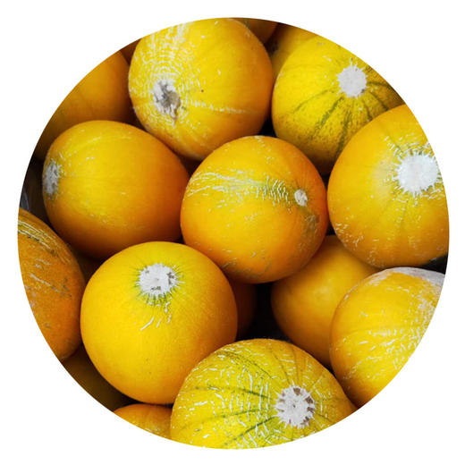 巴盟华莱士瓜1斤