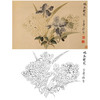 恽寿平没骨花鸟白描底稿-斗方小品册页-SP27 商品缩略图0