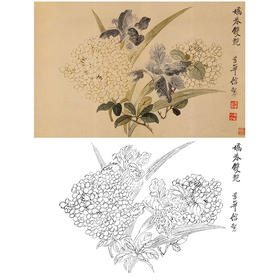 恽寿平没骨花鸟白描底稿-斗方小品册页-SP27