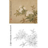 恽寿平没骨花鸟白描底稿-斗方小品册页-SP41 商品缩略图0