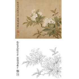 恽寿平没骨花鸟白描底稿-斗方小品册页-SP41