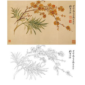 恽寿平没骨花鸟白描底稿-斗方小品册页-SP30