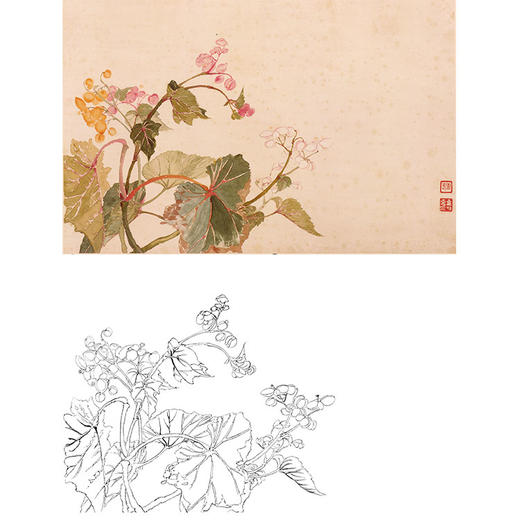 恽寿平没骨花鸟白描底稿-斗方小品册页-SP25 商品图0