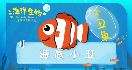 15.海底小丑 商品图0