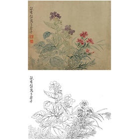 恽寿平没骨花鸟白描底稿-斗方小品册页-SP42