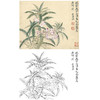 恽寿平没骨花鸟白描底稿-斗方小品册页-SP12 商品缩略图0