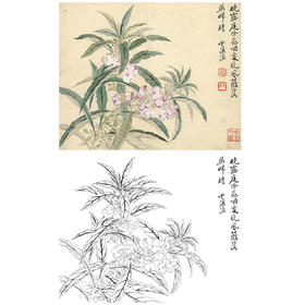恽寿平没骨花鸟白描底稿-斗方小品册页-SP12