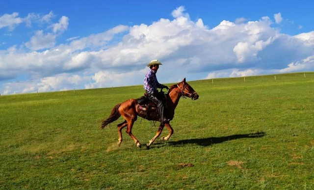 3日丨呼伦贝尔丨直到草原尽头丨策马奔腾住蒙古包草原篝火完美日落