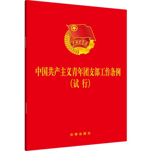 中国共产主义青年团支部工作条例（试行） 商品图0