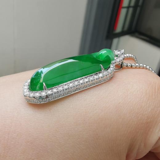 六宫粉黛无颜色——帝王绿素瓜 商品图1