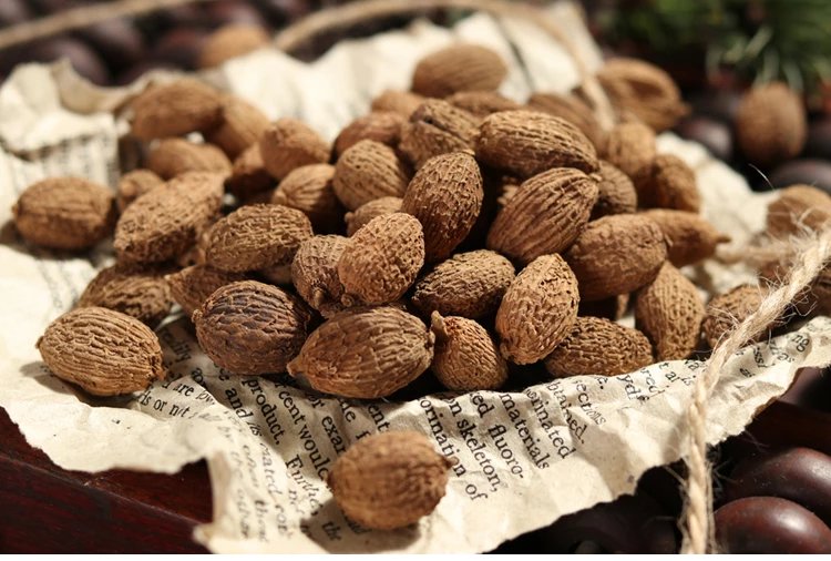 仙蒙 缅甸西砂仁 选货香砂仁250克500克1000克