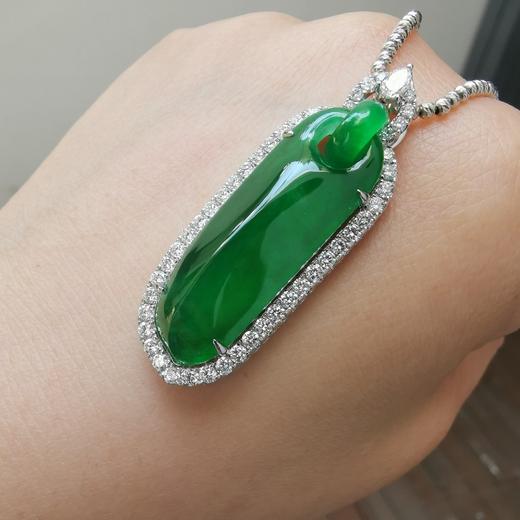 六宫粉黛无颜色——帝王绿素瓜 商品图2