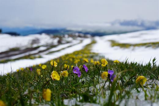 蔓峰定制 商品图0