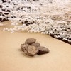 仙蒙 四川川牛膝250克500克1000克 商品缩略图3