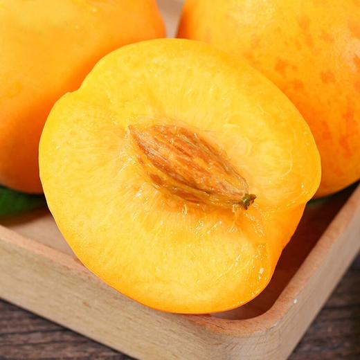 【山东·蒙阴】锦绣黄金水蜜桃 新鲜黄毛桃 精品蜜桃 商品图0