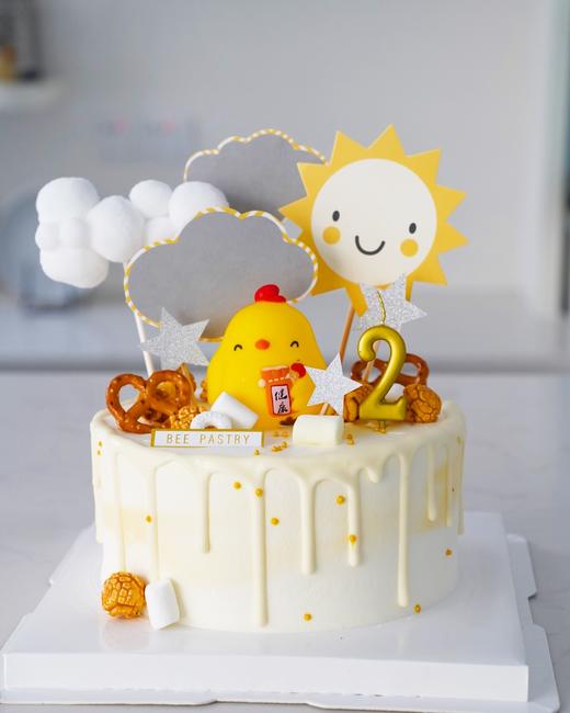 健康小鸡 商品图1