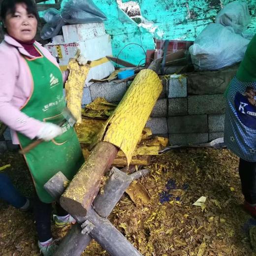 仙蒙  四川刮皮生黄柏250克500克1000克 商品图7