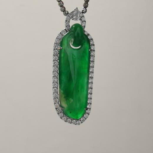 六宫粉黛无颜色——帝王绿素瓜 商品图5