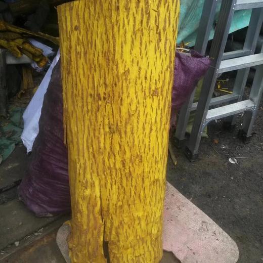 仙蒙  四川刮皮生黄柏250克500克1000克 商品图6