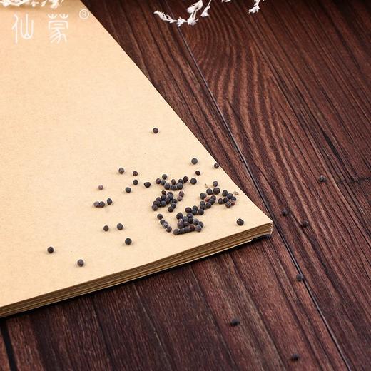 仙蒙  王不留行 500克1000克 商品图3