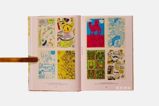 Hairy Who? 1966-1969/毛茸茸的是谁？1966-1969年作品集 商品图3