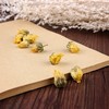 仙蒙  杭白菊 菊花 250克 500克 1000克 商品缩略图3