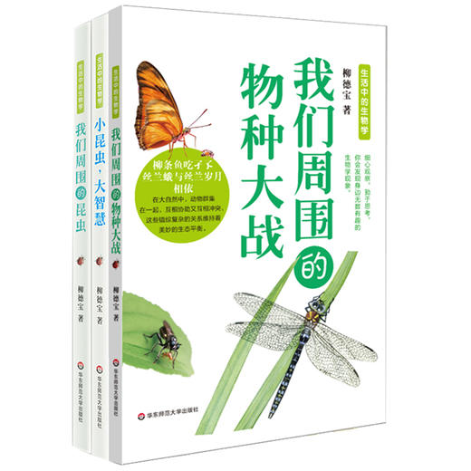 生活中的生物学丛书3册 小昆虫,大智慧+我们周围的昆虫+我们周围的物种大战  认识自然 商品图1