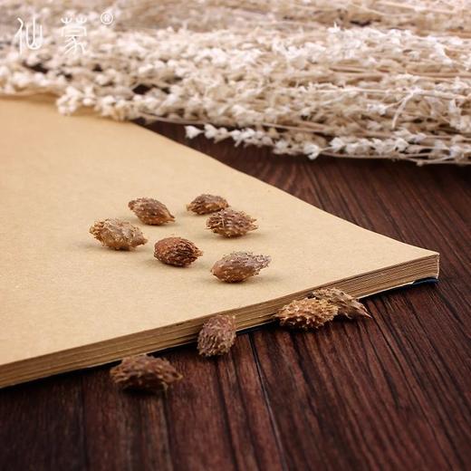 仙蒙 苍耳子 仓耳子 500克1000克 商品图3