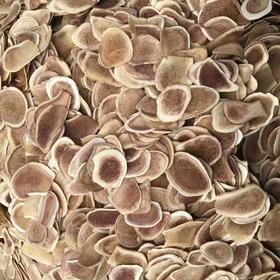 仙蒙 鹿角片 250克  500克  1000克