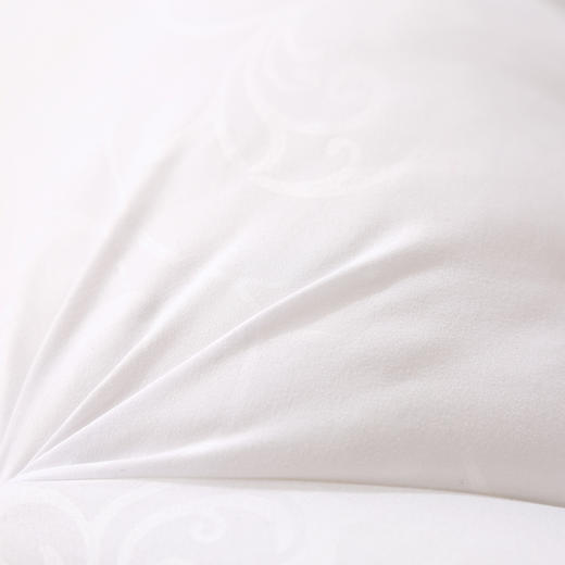 罗莱家纺  决明子荠麦舒睡枕 纯棉面料 优质纤维 固定枕芯  73*47cm 白色 商品图1