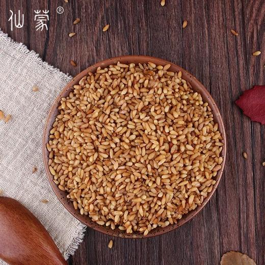 仙蒙   柏子仁 250克500克1000克 商品图1