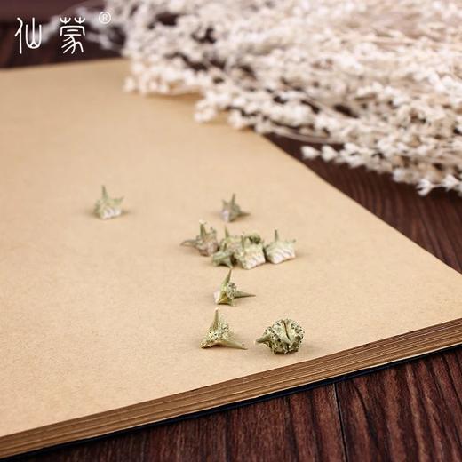 仙蒙  白蒺藜 刺蒺藜 三角刺  500克1000克 商品图3