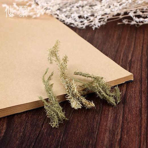 仙蒙  伸筋草 500克 1000克 商品图3