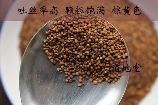 仙蒙  四川大菟丝子 生菟丝子 兔丝子   500克 1000克 商品图1