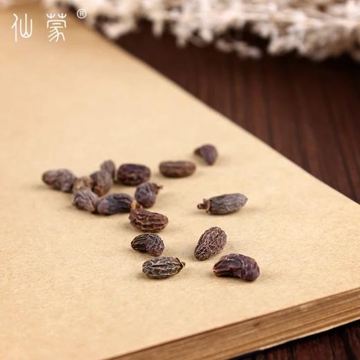 仙蒙  女贞子 500克1000克 商品图3