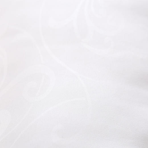 罗莱家纺  决明子荠麦舒睡枕 纯棉面料 优质纤维 固定枕芯  73*47cm 白色 商品图2