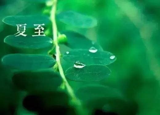 夏至养生 | 养心清暑，补充阳气的好时机。 商品图0