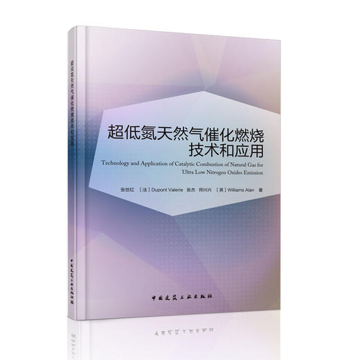 超低氮天然气催化燃烧技术和应用 商品图0