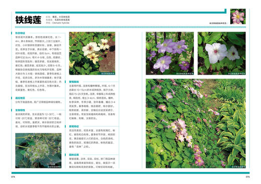 植物造景丛书——藤蔓植物景观 商品图4