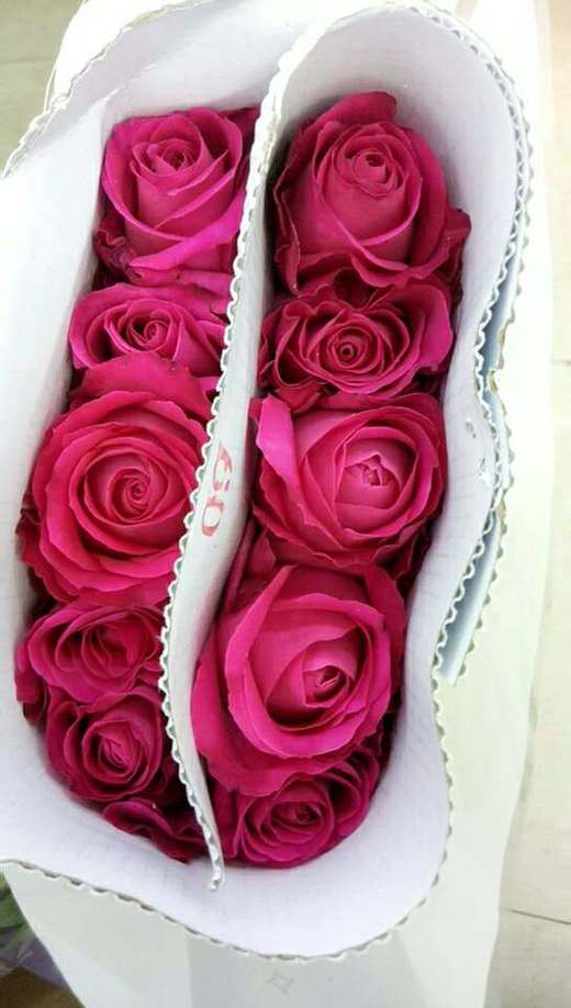 方德星荷樱桃雪山10枝扎40公分