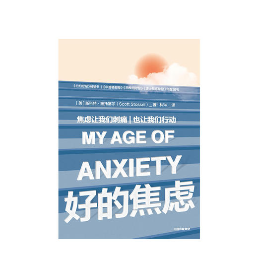 好的焦虑 焦虑让我们刺痛也让我们行动 斯科特斯多塞尔 著 中信出版社图书 正版书籍 商品图2