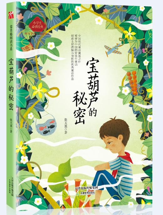宝葫芦的秘密 商品图0