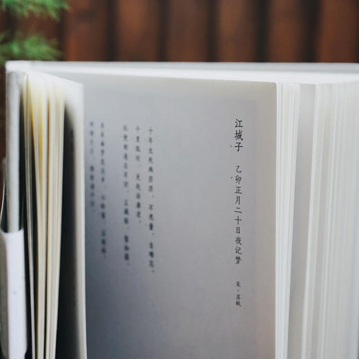 【随书配套音频】林风眠插图珍藏版 李煜等著 李清照、温庭筠……等词人80首婉约词 中信出版社图书 正版书籍 商品图7