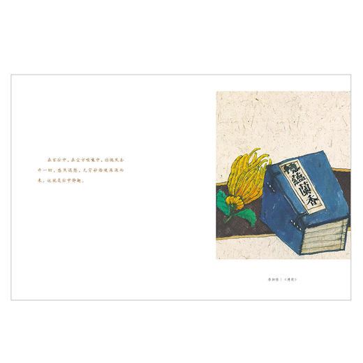 草木闲心岁月长 朱光潜 著 【随书附赠精美明信片】美好人生书系 谈修养 精装彩图典藏版 中信出版社图书 正版书籍 商品图4